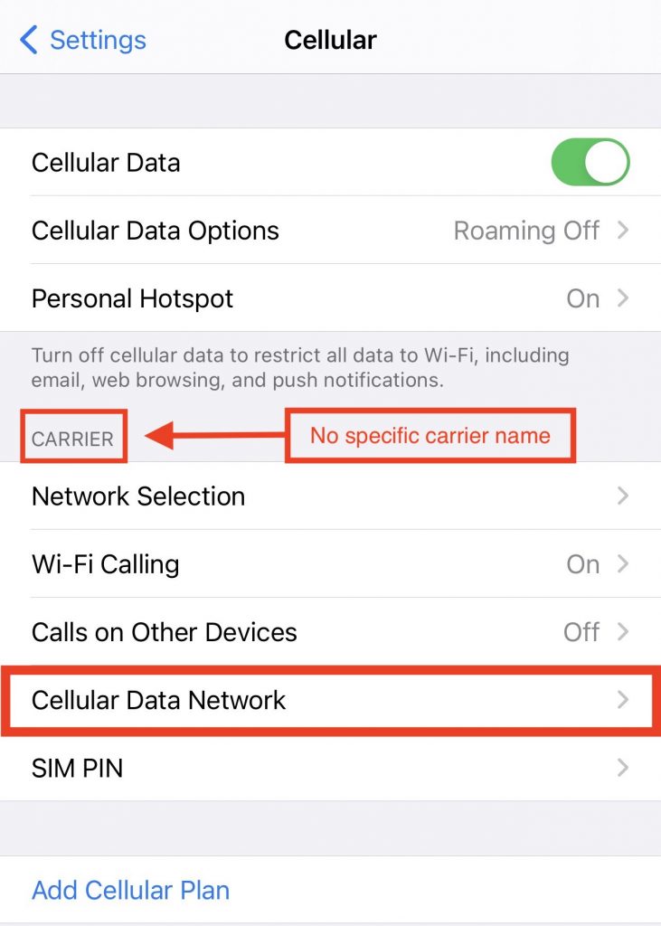 Unlocked iPhone Cellular Data Network